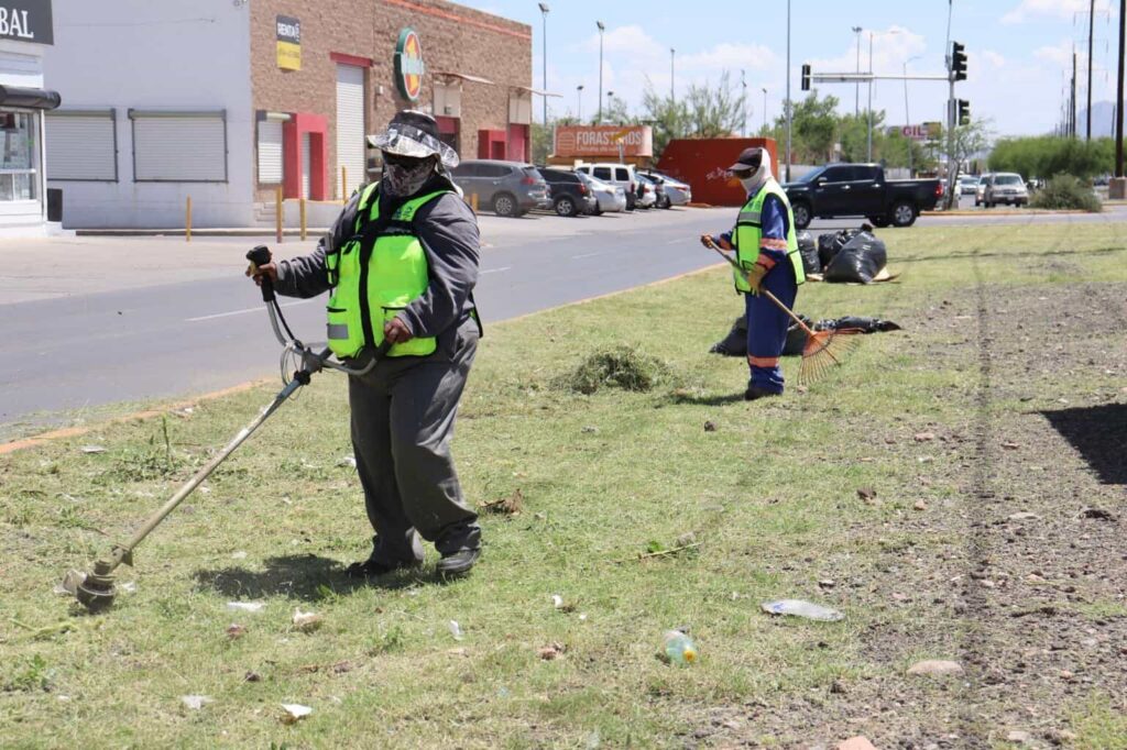 Municipio recoge más de 3 mil toneladas de desechos en vialidades durante 2025