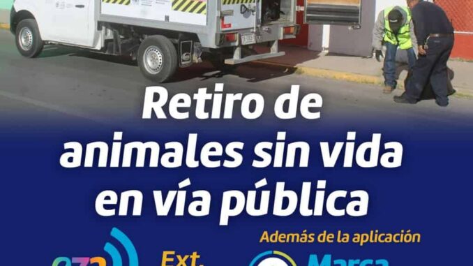 Municipio brinda servicio de retiro de animales sin vida en la vía pública