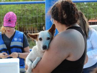 Más de 6 mil 600 vacunas y 5 mil desparasitaciones aplicó Municipio a perros y gatos este año