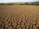 El informe anual de World Weather Attribution describe el «panorama desolador» de 2025