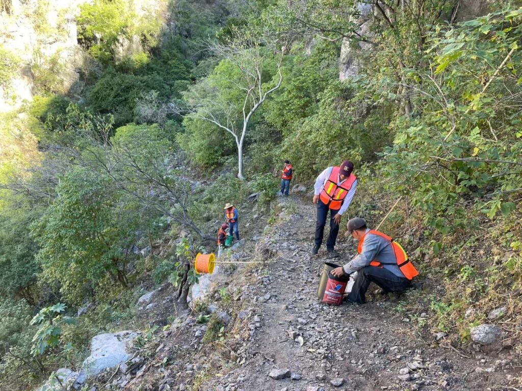 Avanza Estado en la construcción de caminos en Urique y Chínipas