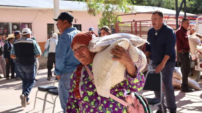Distribuye Estado 92 toneladas de maíz y frijol a habitantes de la Sierra Tarahumara
