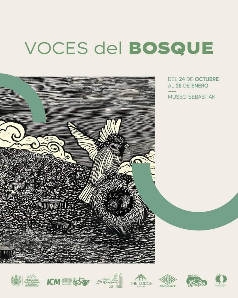 Invitan a visitar la exposición “Voces del Bosque” durante la temporada vacacional en el Museo Sebastián