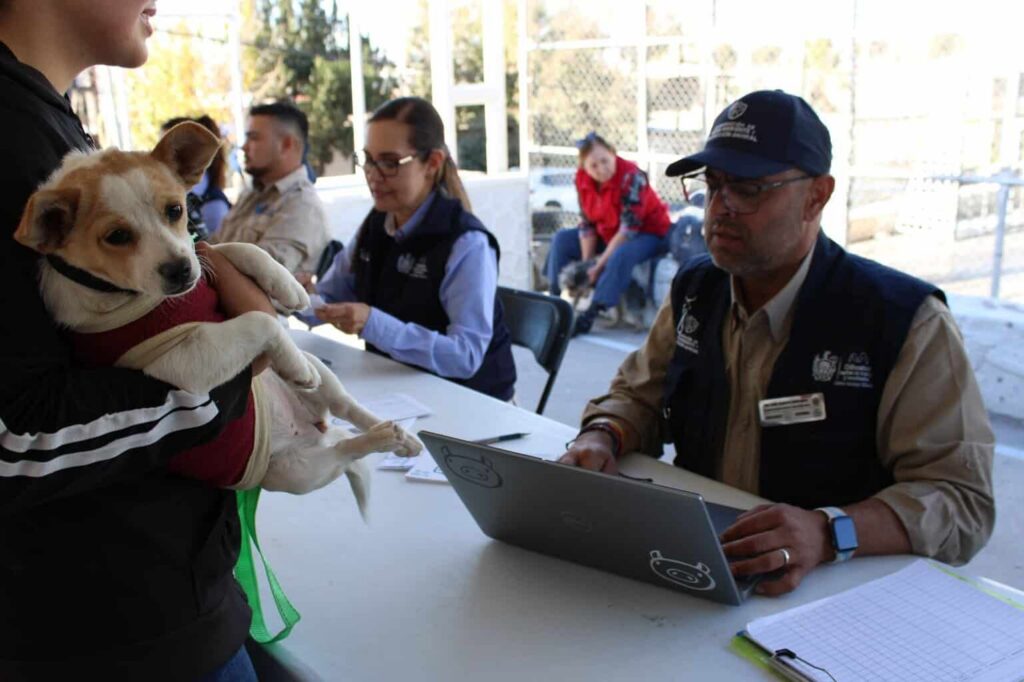 Acerca Municipio servicios gratuitos para animales de compañía en colonia Cerro de la Cruz
