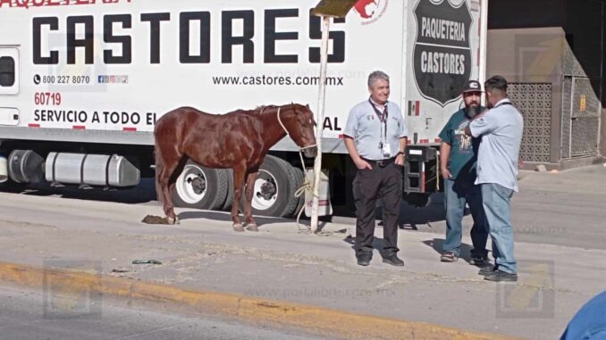 Carreta protagoniza accidente múltiple en la avenida de las Industrias