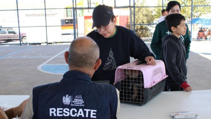 Municipio acercará servicios gratuitos para perros y gatos en colonia Cerro de la Cruz