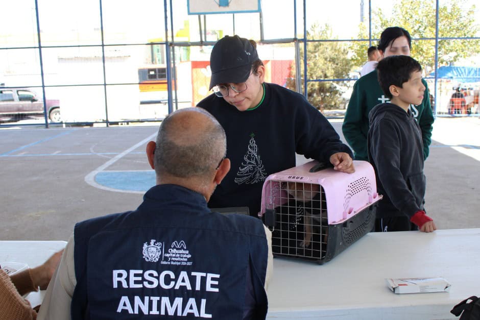Municipio acercará servicios gratuitos para perros y gatos en colonia Cerro de la Cruz