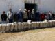 Respalda Estado a 240 familias indígenas de Guerrero con entrega de 4.8 toneladas de maíz y frijol