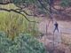 Capturan a sujeto armado en la salida de Guachochi tras dar seguimiento con cámaras de vigilancia