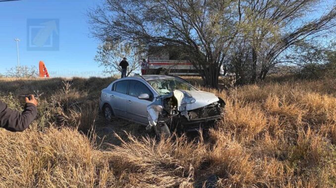 Conductor derriba árbol al perder el control en distribuidor vial de la Puerta Chihuahua