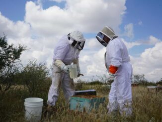Invita Municipio a apicultores de la zona rural a programa para adquirir sacos de azúcar