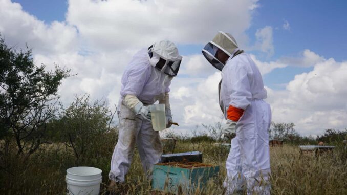 Invita Municipio a apicultores de la zona rural a programa para adquirir sacos de azúcar