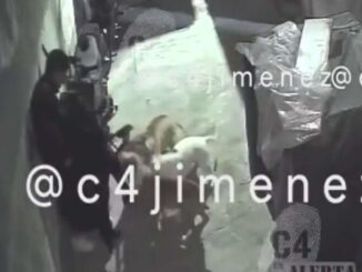 Perros pitbull atacan a mujer en Tláhuac, CDMX
