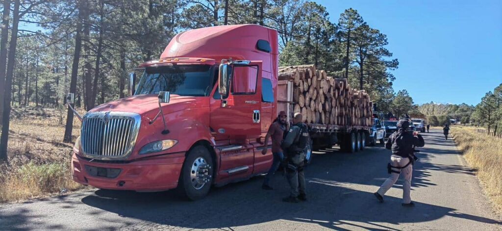 Célula BOII asegura camión cargado con trozos de madera en carretera de Guachochi