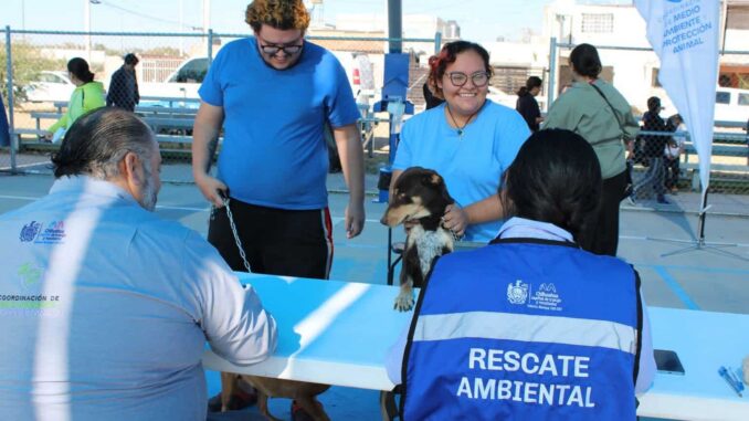 Brinda Municipio servicios gratuitos para animales de compañía en Minerales