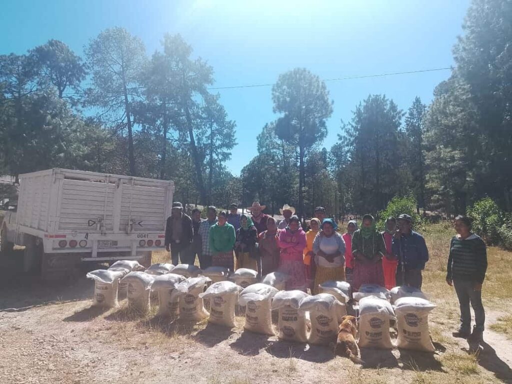 Distribuye Gobierno del Estado 5.6 toneladas de maíz y frijol en Guazapares