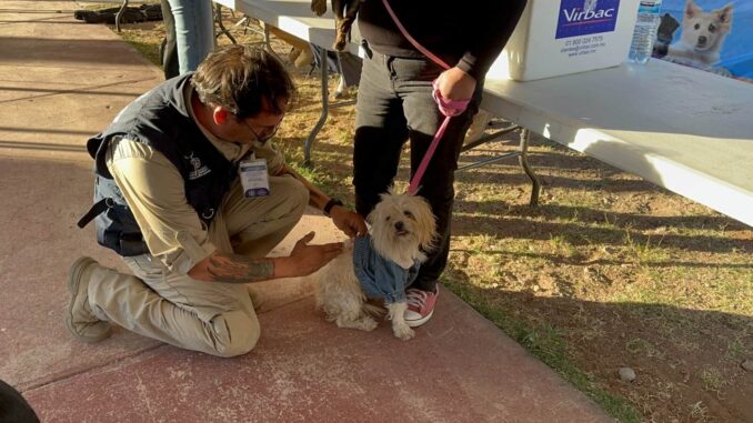Brindará Municipio servicios gratuitos para perros y gatos en Minerales