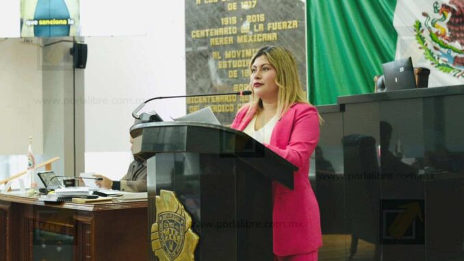 Diputada Irlanda presenta Ley Vicaria