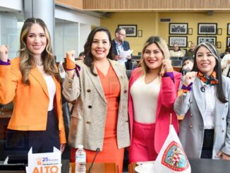 Diputadas de distintos partidos impulsan reforma histórica para que el Estado acompañe a mujeres víctimas de violencia tras salir de refugios