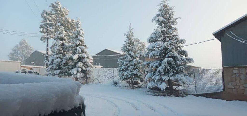 Prevén ingreso de primera tormenta invernal de la temporada este fin de semana