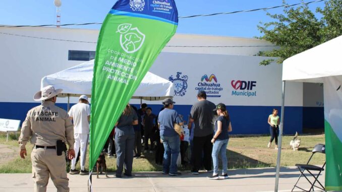Este jueves, servicios gratuitos para perros y gatos en colonia Insurgentes