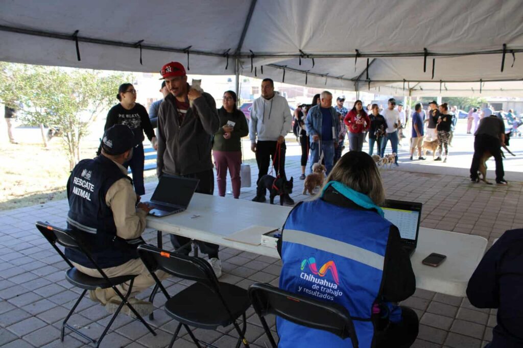 Reciben mascotas de Vistas Cerro Grande servicios de salud con programa de Municipio