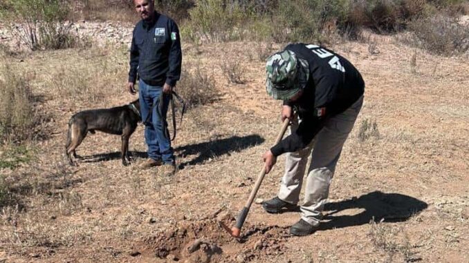 Continúa FGE búsqueda de personas en rancho El Aranjuez