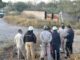 Aseguran toma clandestina en red de Pemex; fuerzas federales resguardan la zona