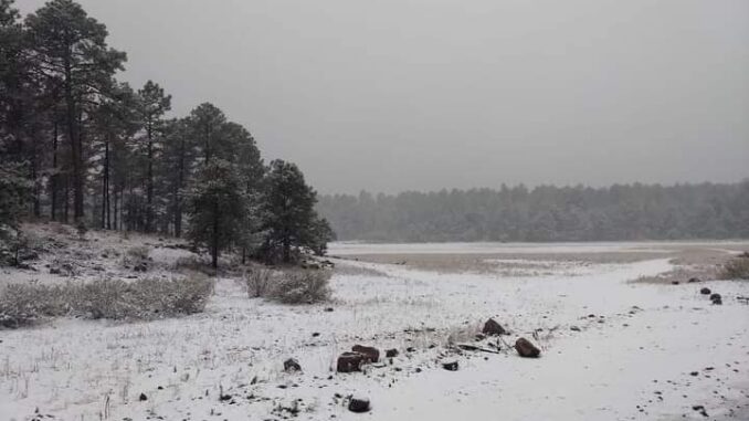 Prevén las primeras nevadas del país para esta semana, según el SMN