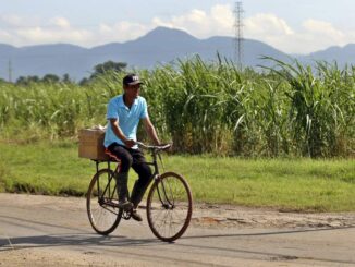 México impone aranceles de entre 156 % y 210 % a las importaciones de azúcar
