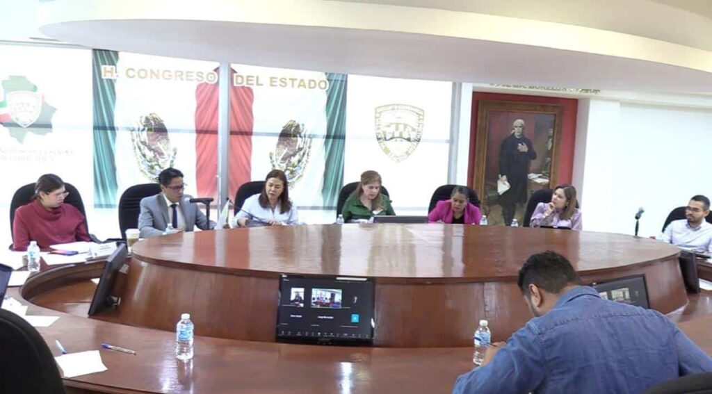 Presenta CEAVE al Congreso, propuesta para armonizar leyes de protección a Niñas, Niños y Adolescentes