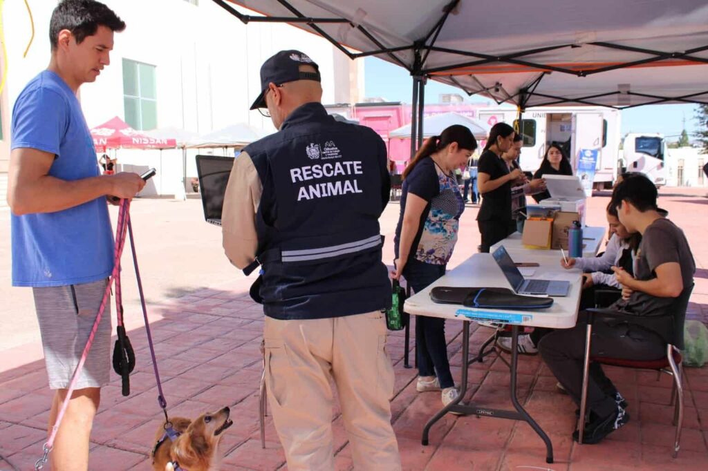 Brindó Municipio más de 300 servicios gratuitos para mascotas en Wellness Fest 2025