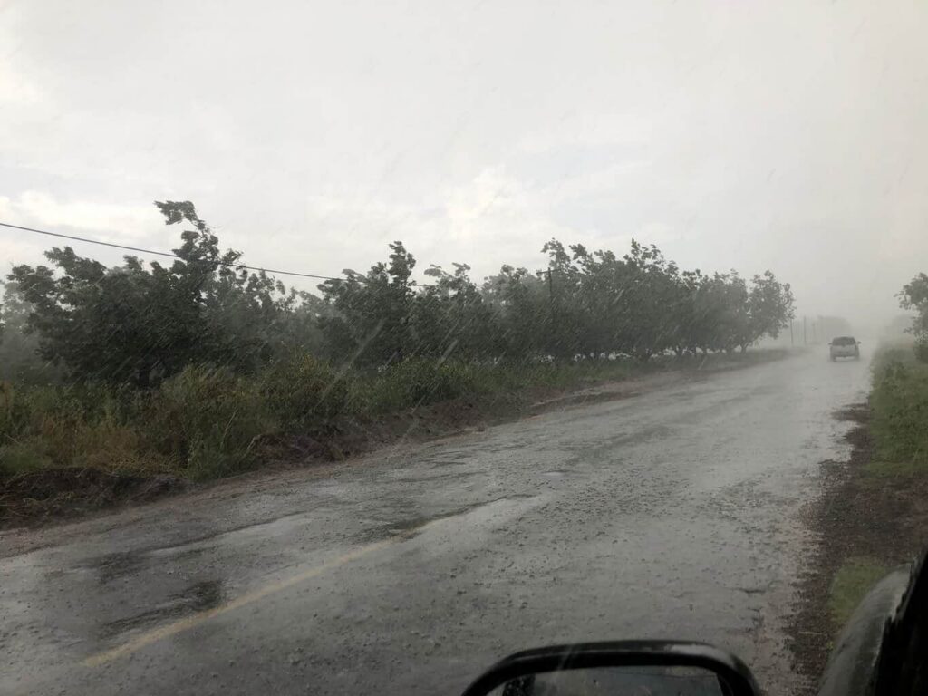 Emiten recomendaciones ante pronóstico de descenso de temperatura, lluvias y vientos fuertes en el estado