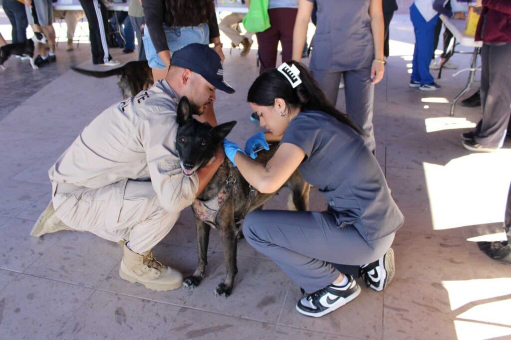 Realiza Municipio más de mil servicios en jornada de salud y atención para animales en Punta Oriente