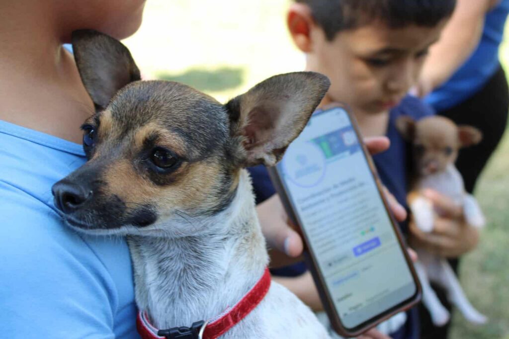 Brindará Gobierno Municipal servicios gratuitos para mascotas en Punta Oriente