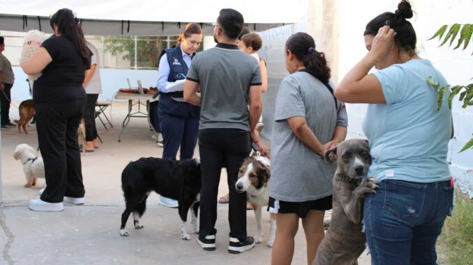Vacuna Municipio a más de 200 mascotas en colonia Nombre de Dios