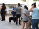 Vacuna Municipio a más de 200 mascotas en colonia Nombre de Dios