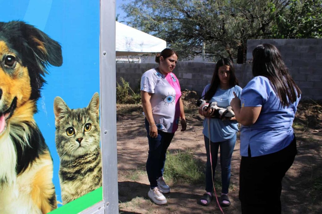 Esteriliza Gobierno Municipal a 48 mascotas durante jornada de salud en Labor de Terrazas