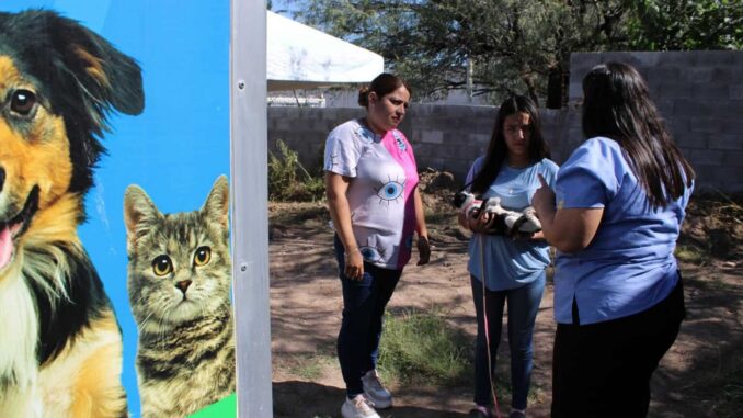 Esteriliza Gobierno Municipal a 48 mascotas durante jornada de salud en Labor de Terrazas