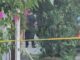 Determinará FGE causa de muerte del hombre que estaba siendo detenido por violencia familiar