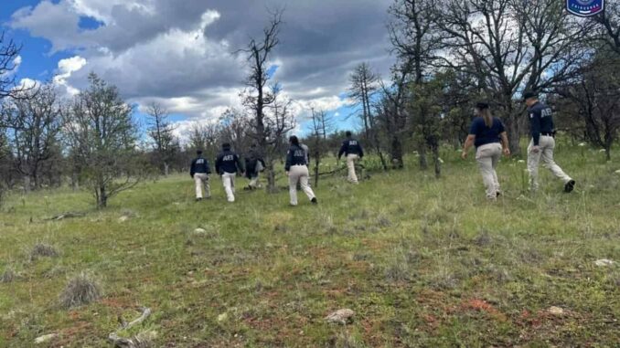 Realiza FGE rastreo en Carichí con apoyo de binomio canino y dron