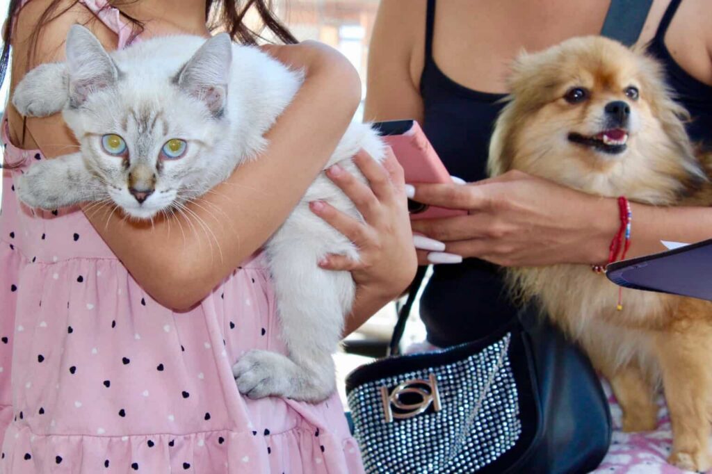 ¡Cuida a tu mascota de la pirotecnia! emite Municipio recomendaciones por fiestas patrias