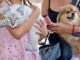 ¡Cuida a tu mascota de la pirotecnia! emite Municipio recomendaciones por fiestas patrias