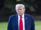 Afirma Trump que empresas extranjeras pueden traer a sus empleados por «un tiempo»