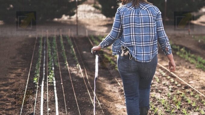Invita Saúl Mireles a inscribirse en el reconocimiento “Mujer Rural 2025”