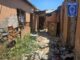 Aseguró FGE 22 animales víctimas de maltrato durante el mes de agosto