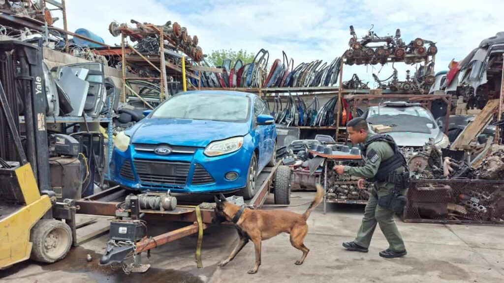 Realizan células BOI supervisiones en yonkes para descartar irregularidades y uso de sustancias nocivas