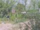 Hallan hombre sin vida en predio de la colonia Valles de Chihuahua